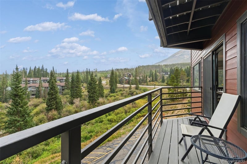 9849 Ryan Gulch Rd #201, Silverthorne, CO 80498