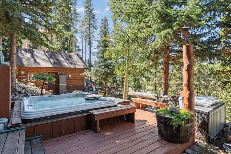 231 Fairview Blvd, Breckenridge, CO 80424