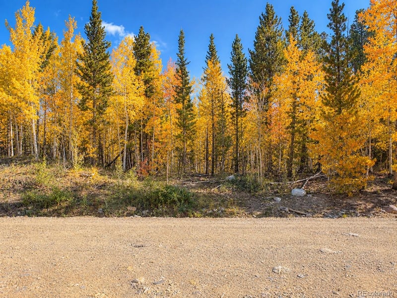 Lot 1 Venture Rd Lot 1, Fairplay, CO 80440