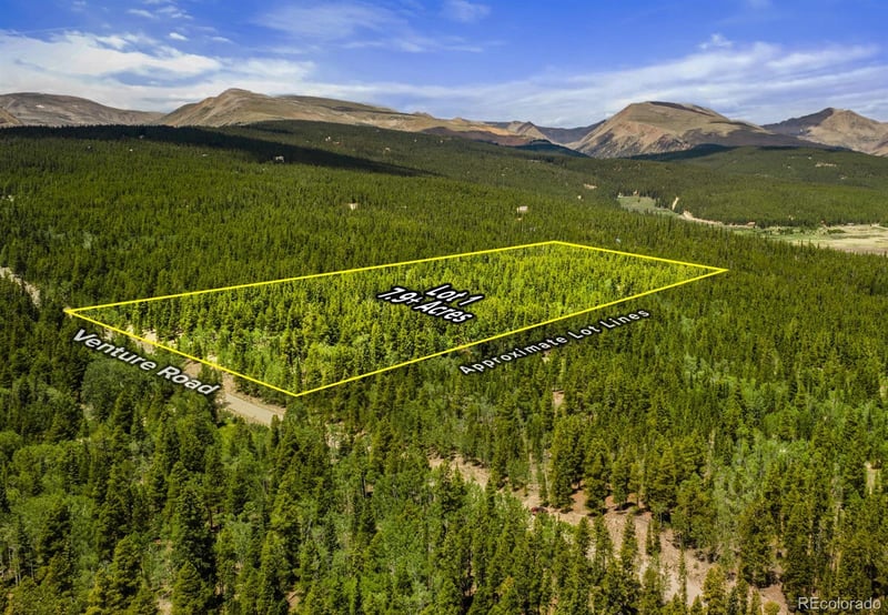 Lot 1 Venture Rd Lot 1, Fairplay, CO 80440