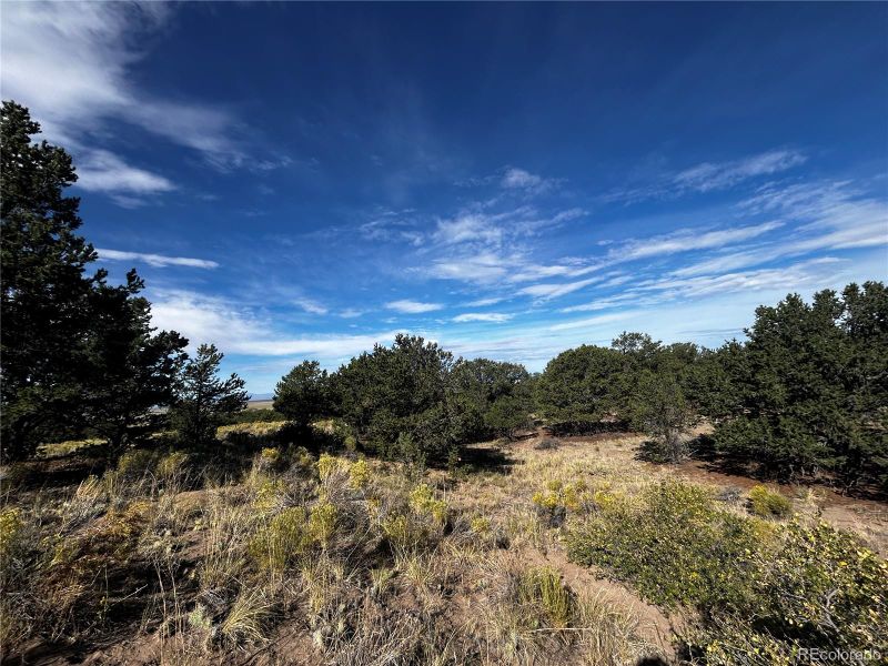 1411 W Badger Rd, Crestone, CO 81131
