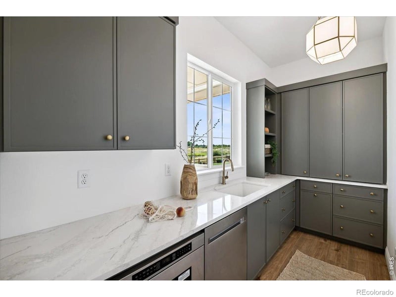 842 Clydesdale Dr, Windsor, CO 80550