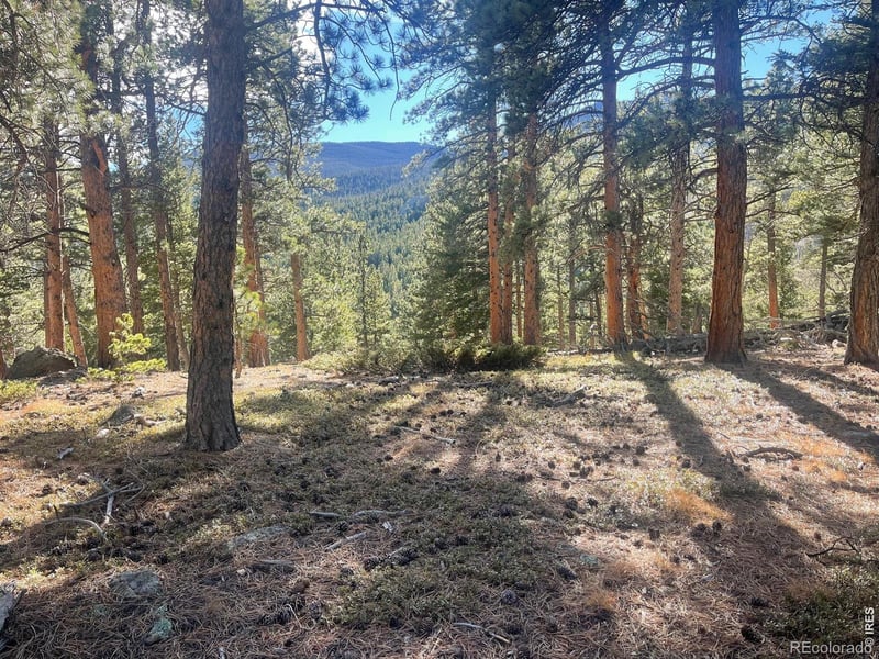 399 N Skinner Rd, Allenspark, CO 80510