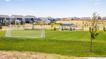 13978 Beebalm Trl, Parker, CO 80134
