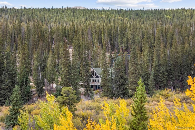 925 Gold Pan Ln, Fairplay, CO 80440