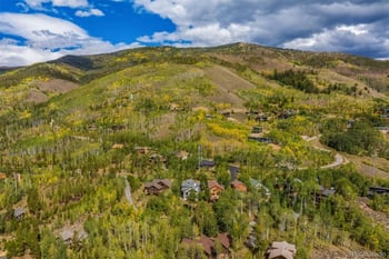 2204 Hamilton Creek Rd, Silverthorne, CO 80498