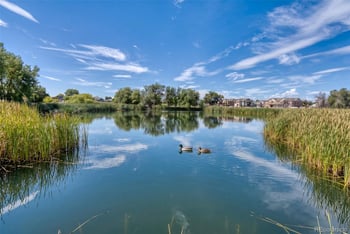 3639 29, Greeley, CO 80634