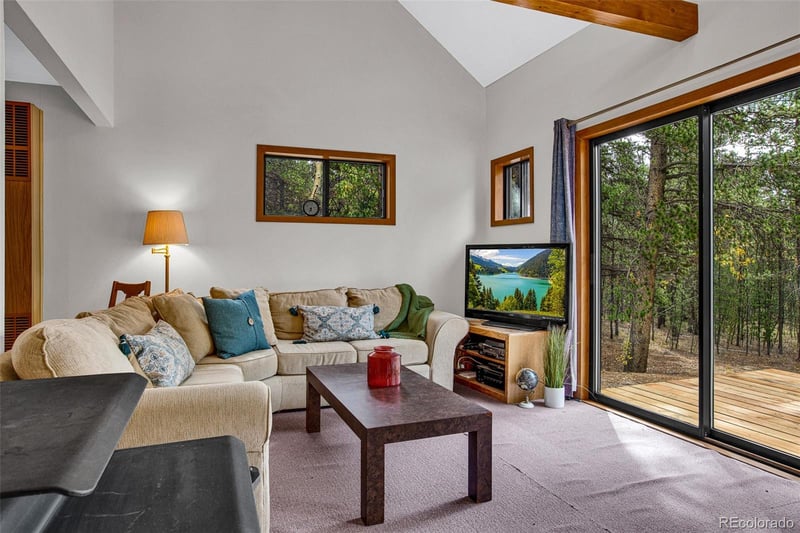 768 Coil Dr, Fairplay, CO 80440