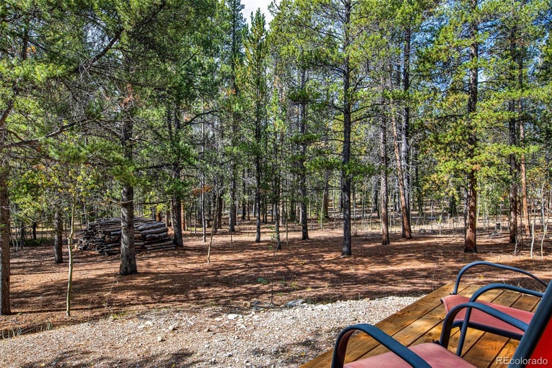 768 Coil Dr, Fairplay, CO 80440