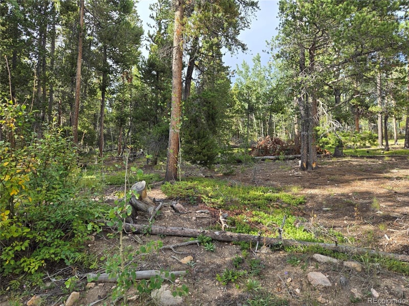 001 Tiber, Black Hawk, CO 80422