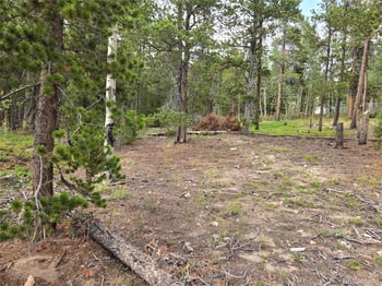 001 Tiber, Black Hawk, CO 80422