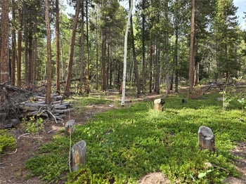 001 Tiber, Black Hawk, CO 80422