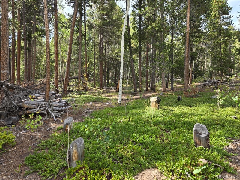001 Tiber, Black Hawk, CO 80422