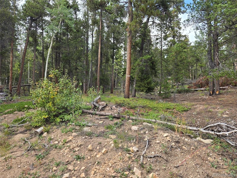 001 Tiber, Black Hawk, CO 80422