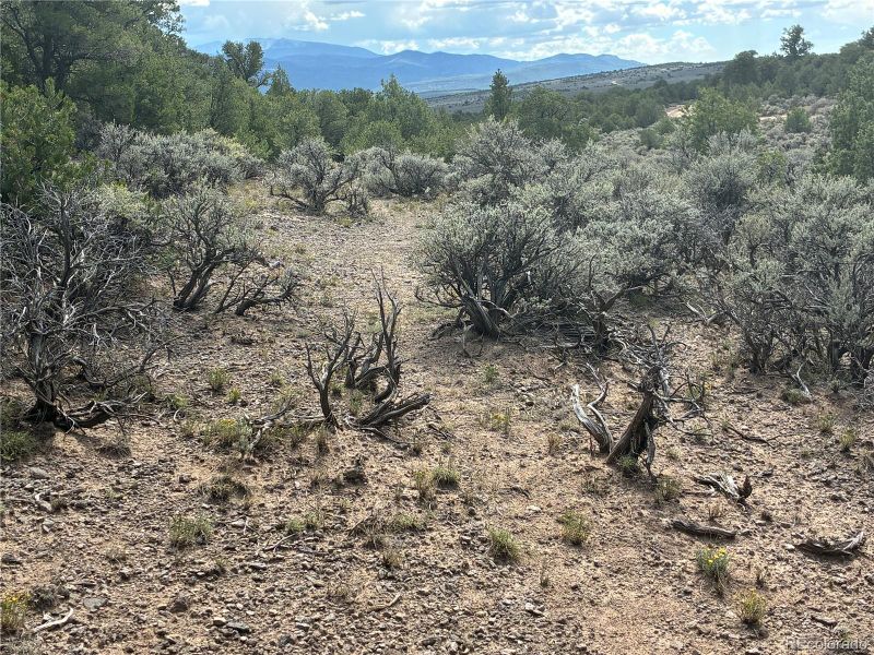 36AC Bull Elk Trail Rd, San Luis, CO 81152