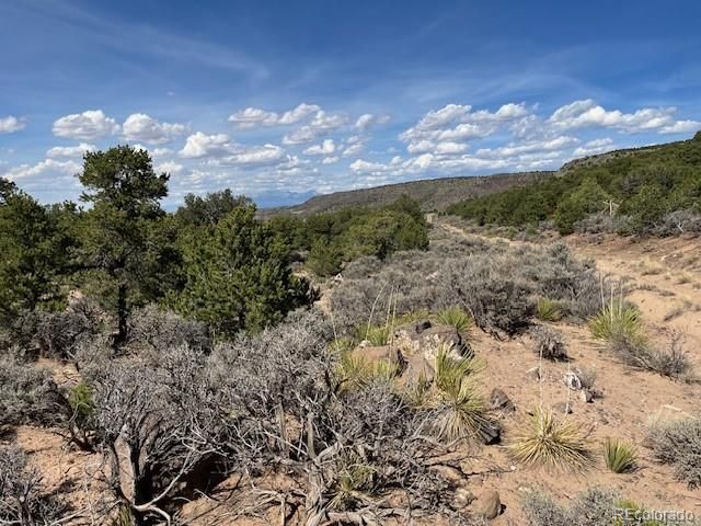 Flintlock Trail Lot 110, San Luis, CO 81152