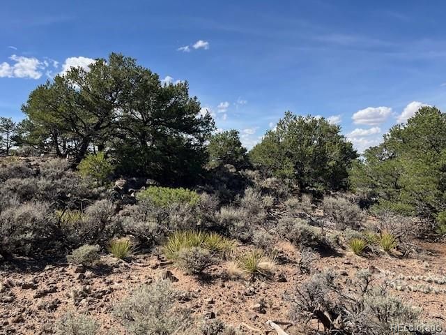 Flintlock Trail Lot 110, San Luis, CO 81152