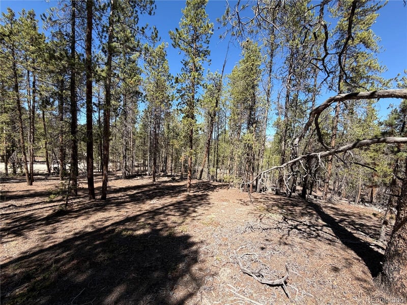 350 Mount Elbert Dr, Twin Lakes, CO 81251