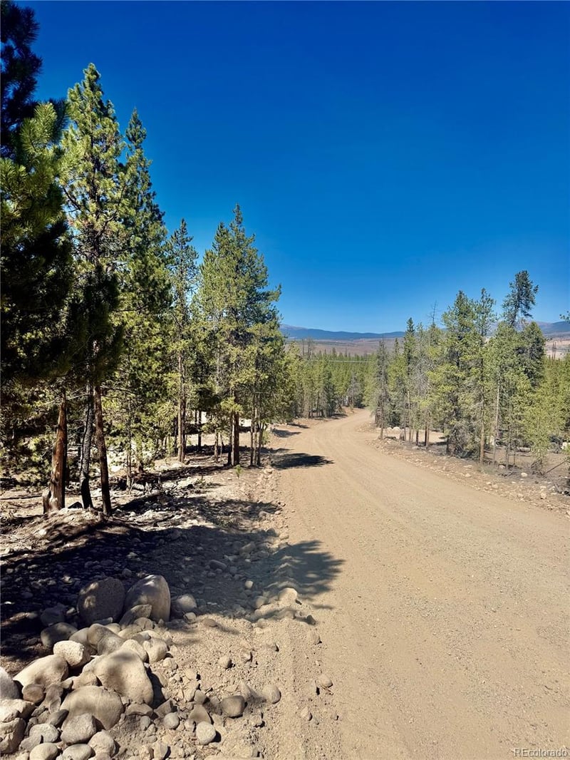 350 Mount Elbert Dr, Twin Lakes, CO 81251
