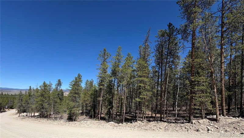 350 Mount Elbert Dr, Twin Lakes, CO 81251