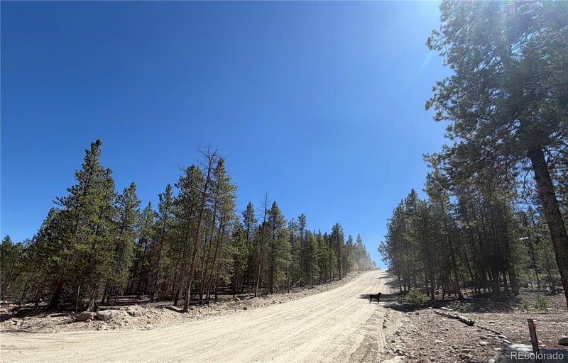 350 Mount Massive Dr, Twin Lakes, CO 81251