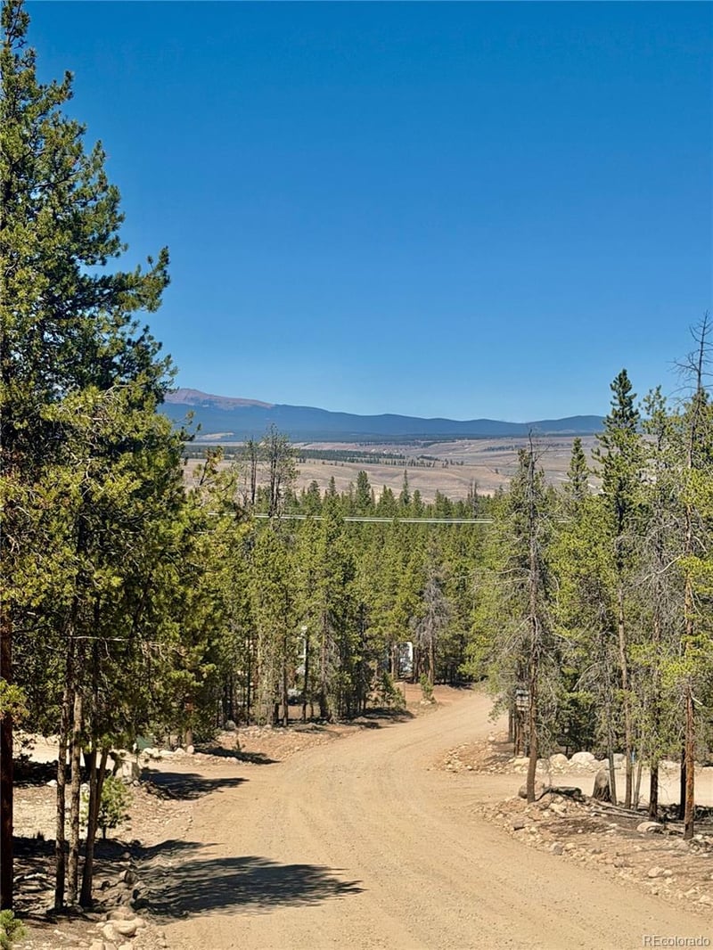 350 Mount Massive Dr, Twin Lakes, CO 81251