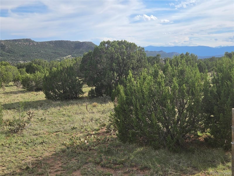 1284 Red Rock Cir, Penrose, CO 81240