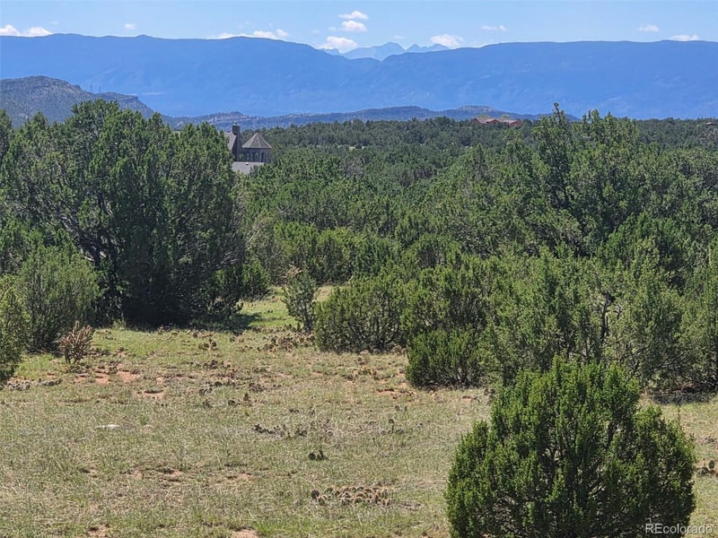 1284 Red Rock Cir, Penrose, CO 81240
