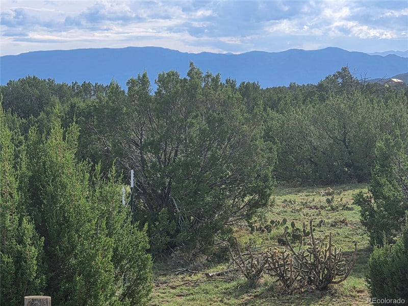 1284 Red Rock Cir, Penrose, CO 81240