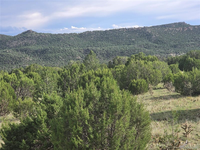 1284 Red Rock Cir, Penrose, CO 81240