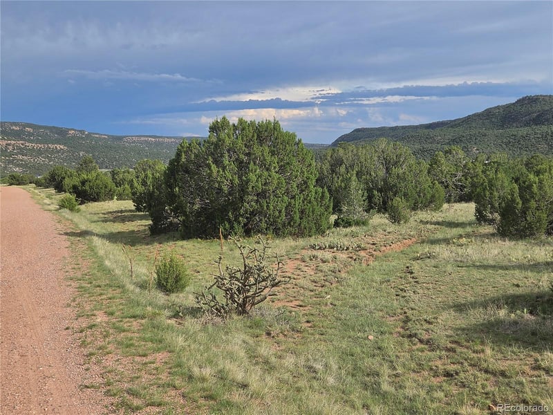 1284 Red Rock Cir, Penrose, CO 81240