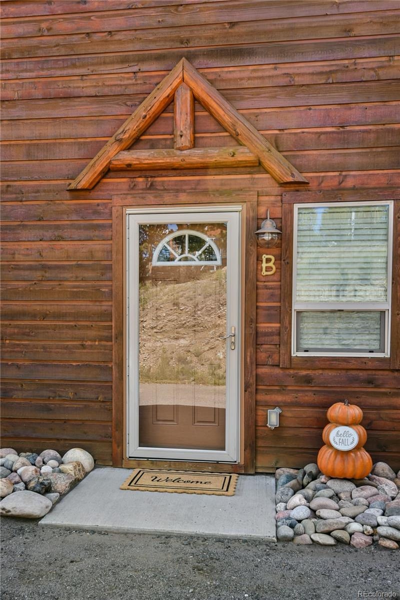 305 Virginia Rd #B, Bailey, CO 80421