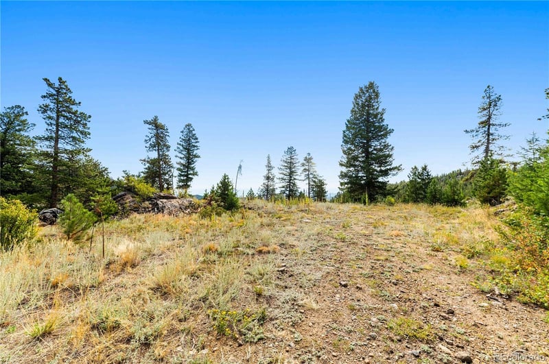 Lot F Gray Wolf Trl Lot F, Golden, CO 80403