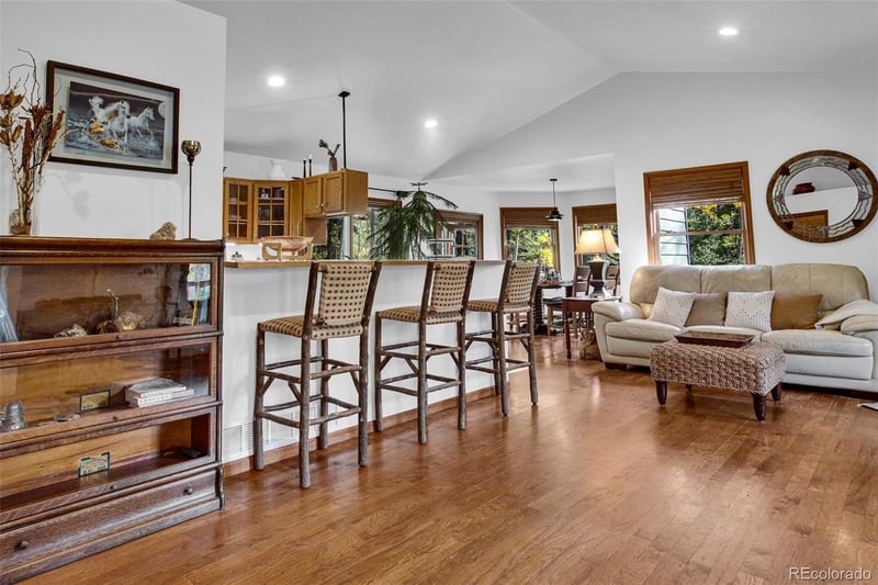37 Briscoe Ct, Alma, CO 80420