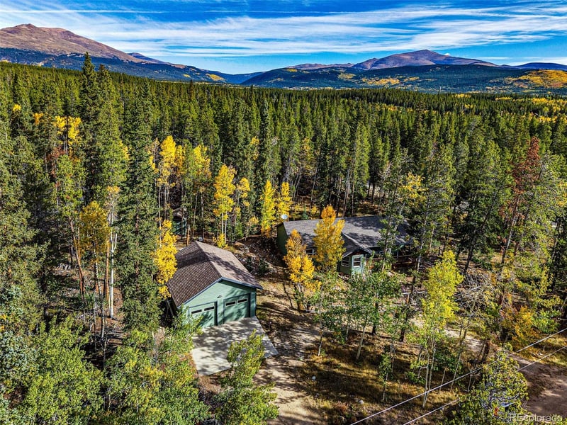 37 Briscoe Ct, Alma, CO 80420