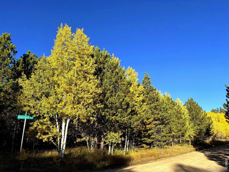 75 Overland Dr, Ward, CO 80481