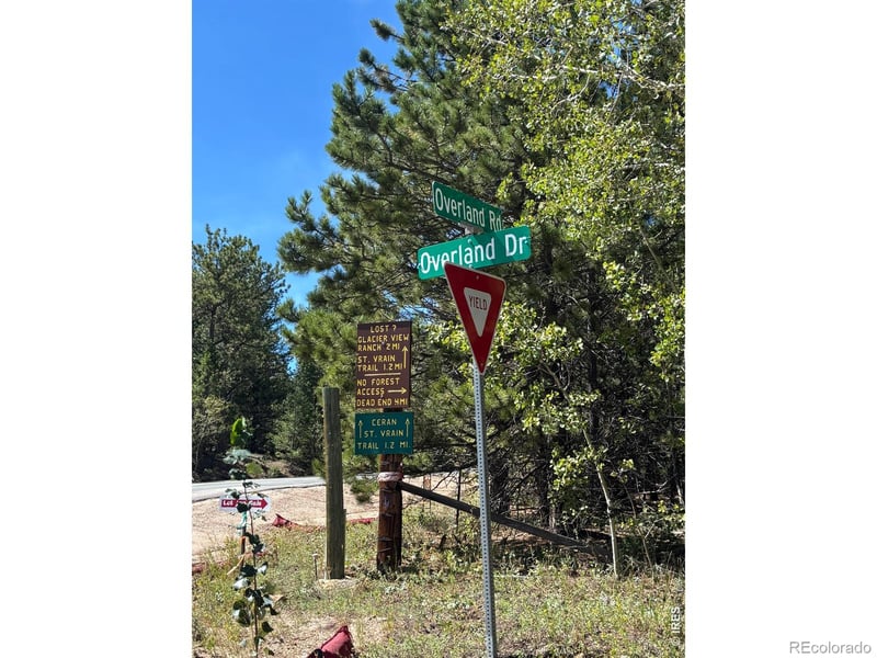 75 Overland Dr, Ward, CO 80481