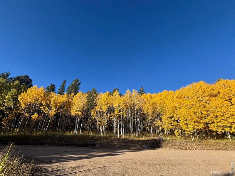 75 Overland Dr, Ward, CO 80481