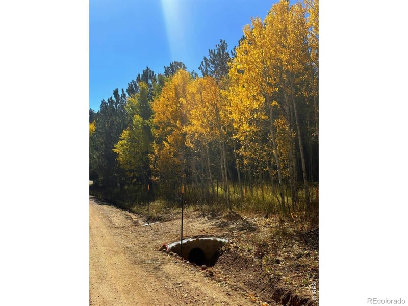 75 Overland Dr, Ward, CO 80481