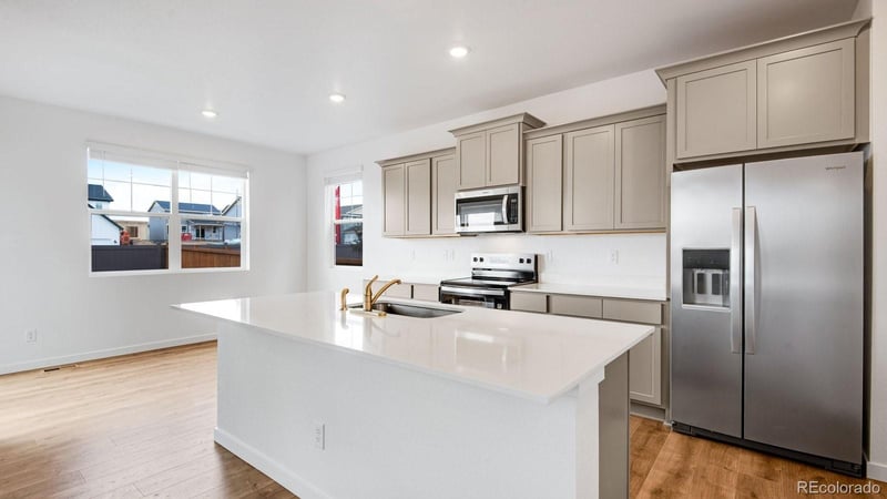 395 N Allium St, Watkins, CO 80137