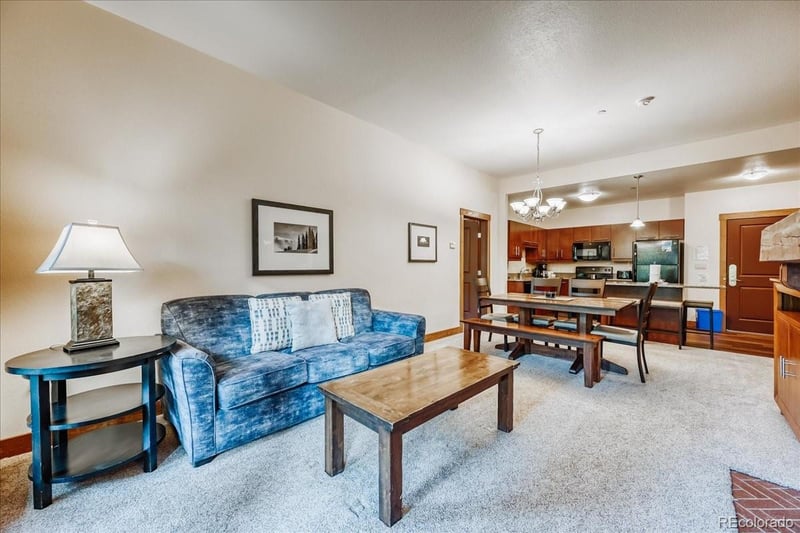 172 Beeler Pl #109, Frisco, CO 80443