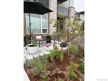1483 Hecla Way, Louisville, CO 80027