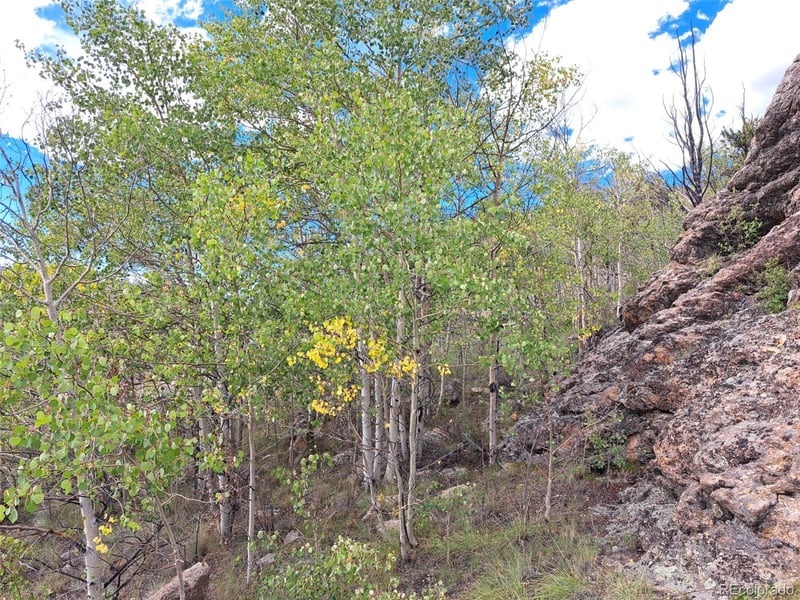 736 Stagestop Rd, Jefferson, CO 80456