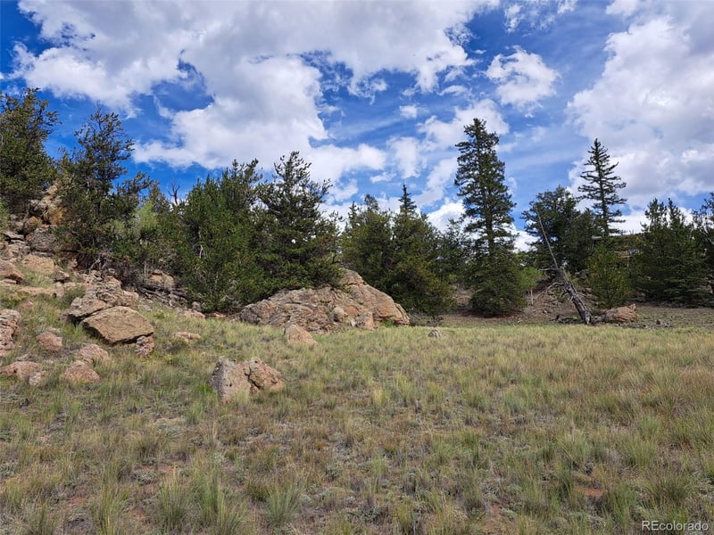 736 Stagestop Rd, Jefferson, CO 80456