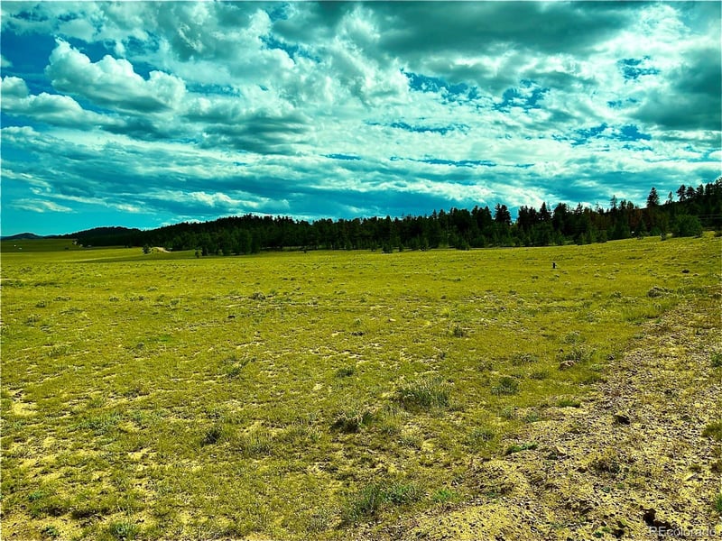 3984 Elkhorn Rd, Hartsel, CO 80449