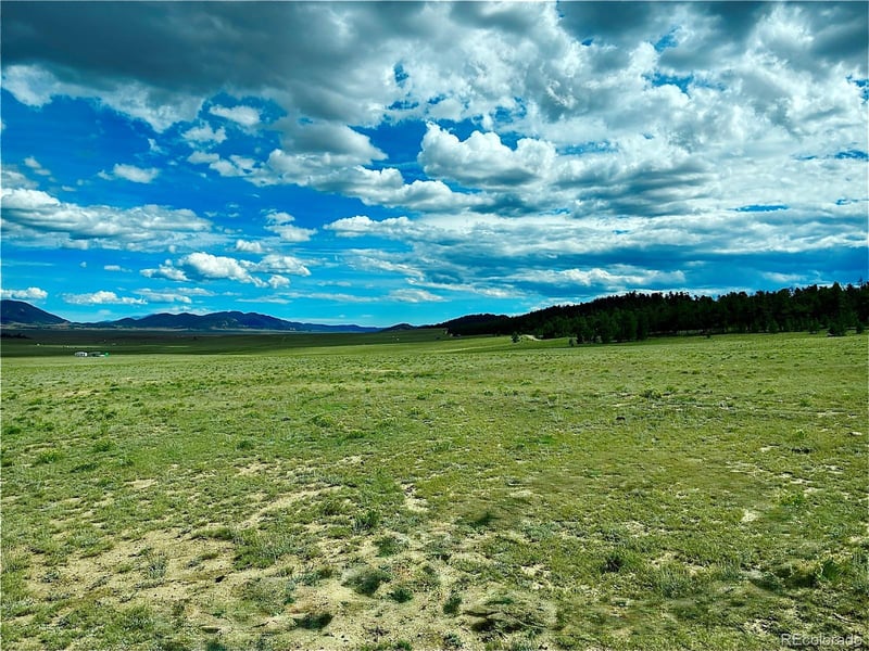 3984 Elkhorn Rd, Hartsel, CO 80449