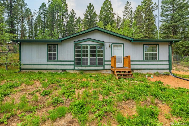 22 Silver Trl, Florissant, CO 80816