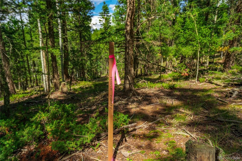 431 Cottonwood Lake Dr, Divide, CO 80814