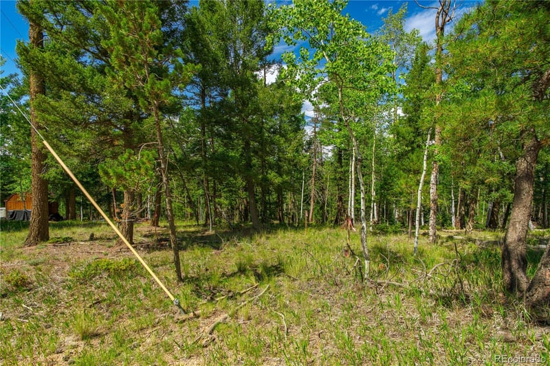 431 Cottonwood Lake Dr, Divide, CO 80814