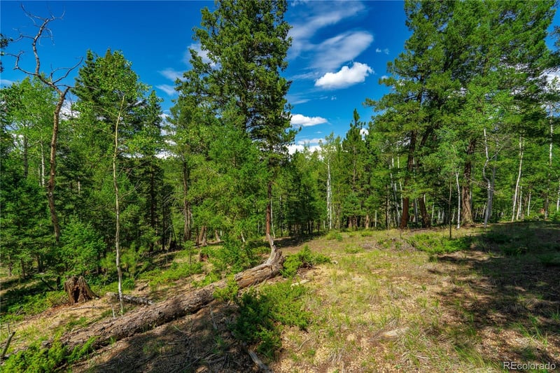 431 Cottonwood Lake Dr, Divide, CO 80814